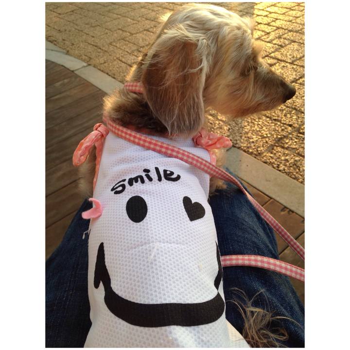 4c6db2a4 3461 4250 9f7c 587dfcf4235c