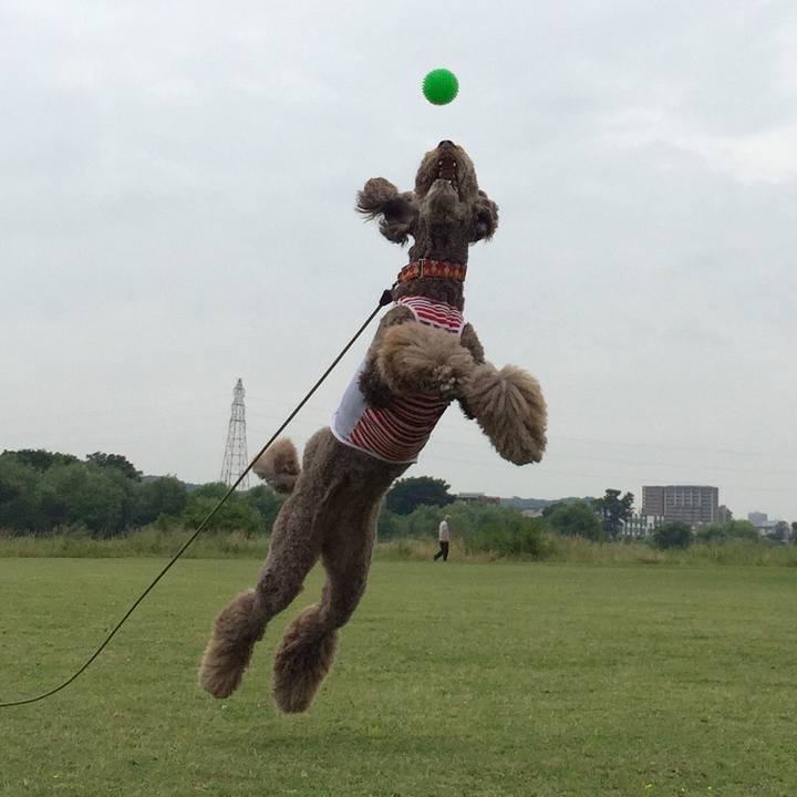 4c6e69c3 6a77 46a4 ac08 3e5c94ee8272