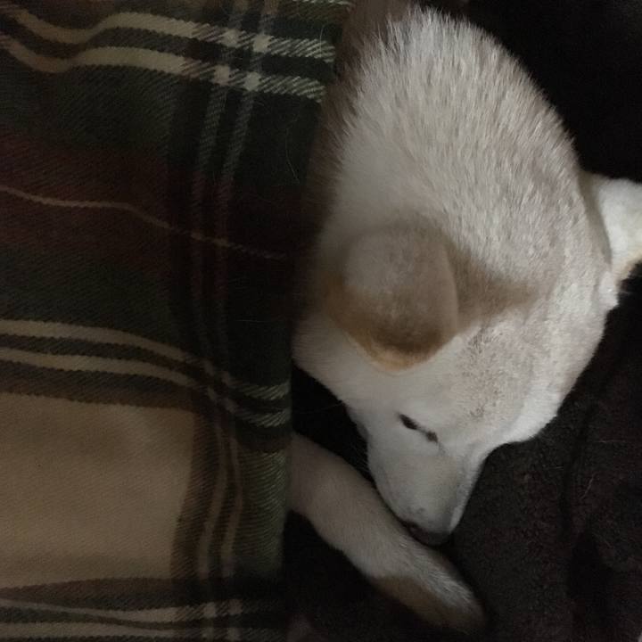 4c6f2674 412d 4fa3 a963 b502e9ca1d3f