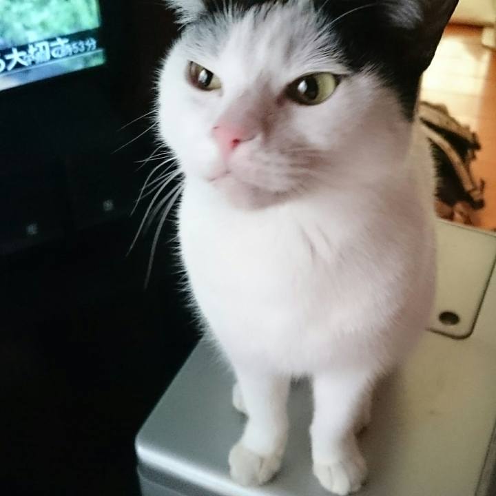 4c6f2842 856e 4c13 85d2 685ff1073191