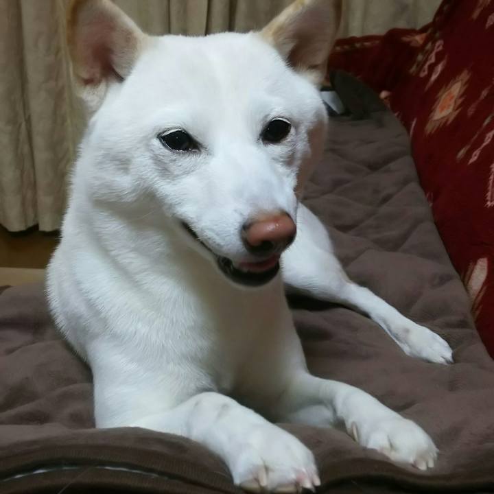 4c70e09c ab15 4ef5 b05d ad990c259c7d