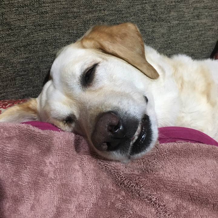 4c716f3f 61f1 4051 b344 7b0f05a310f3