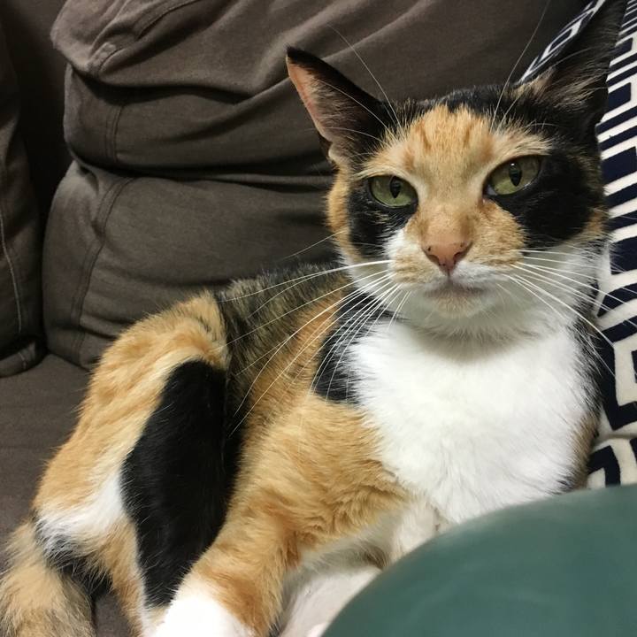 4c71d09d f532 4eac 9a74 a1a06f969efb