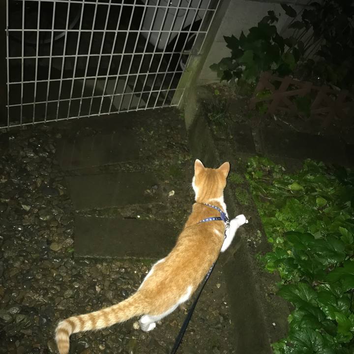 4c723726 77b9 4d16 90a0 94c0ff311349