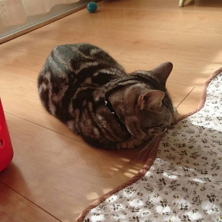 4c726f3f 921b 46d0 b981 01bba528d2dc