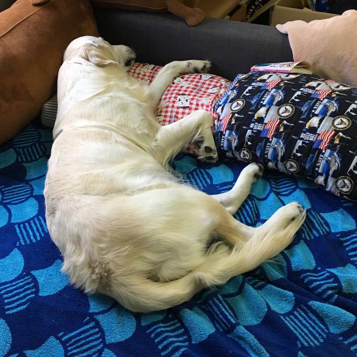 4c7288c3 93b5 44e9 a353 74360ce9df40