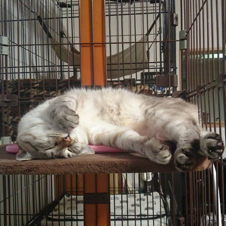 4c72f0df 7ef7 4657 a745 597e67376961