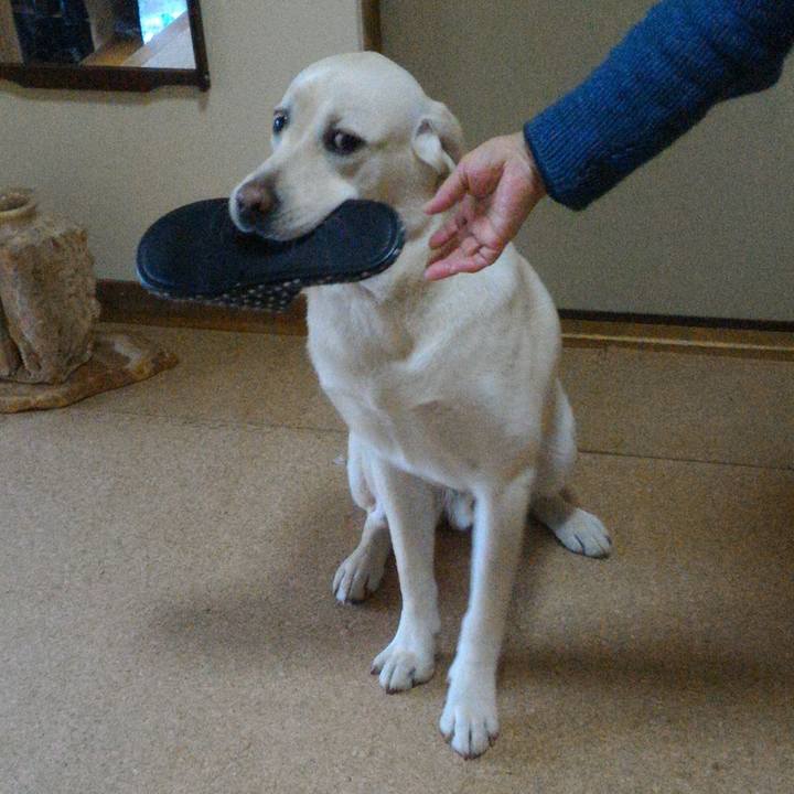 4c74323e 5d80 4f34 a25d d4b3c7e3775c