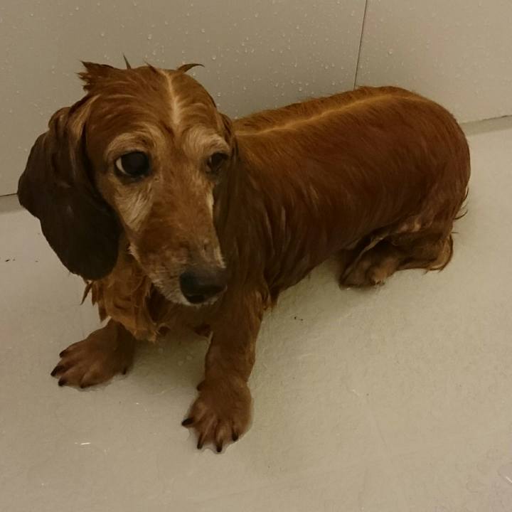 4c746922 0723 4651 933d ec7ac57868d5