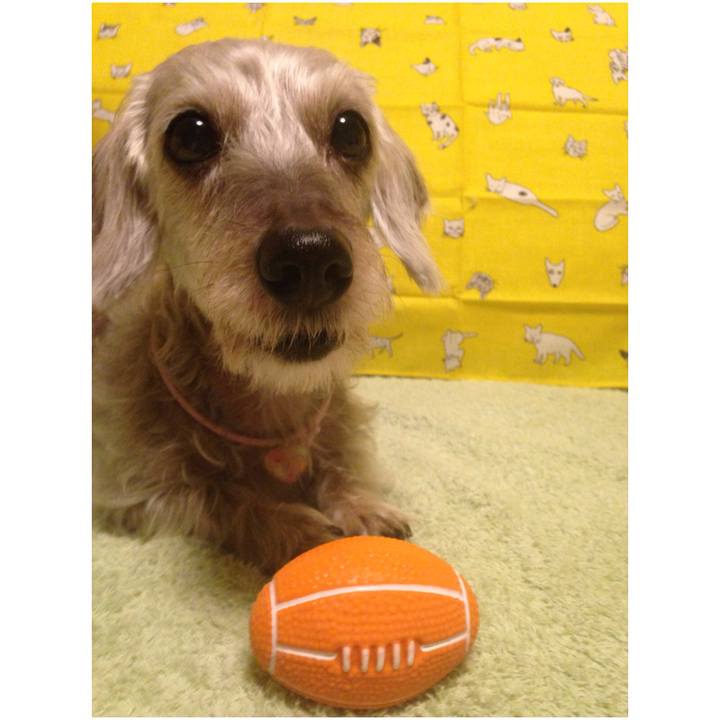 4c74a4a0 e2c1 4c0e 8e7f f86759633c3b