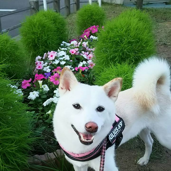 4c750b83 1f82 416a 92ac e9ea2357a91d