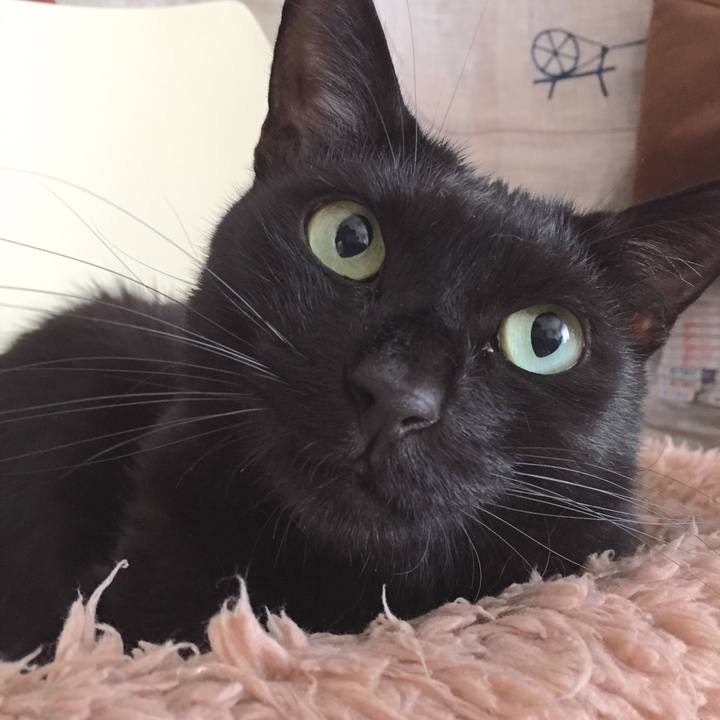 4c7535da d186 48ac 83b3 27e9f85c1ca2