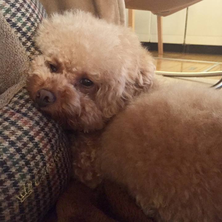 4c75bd5e feee 4bba 9e29 de54f22f946f