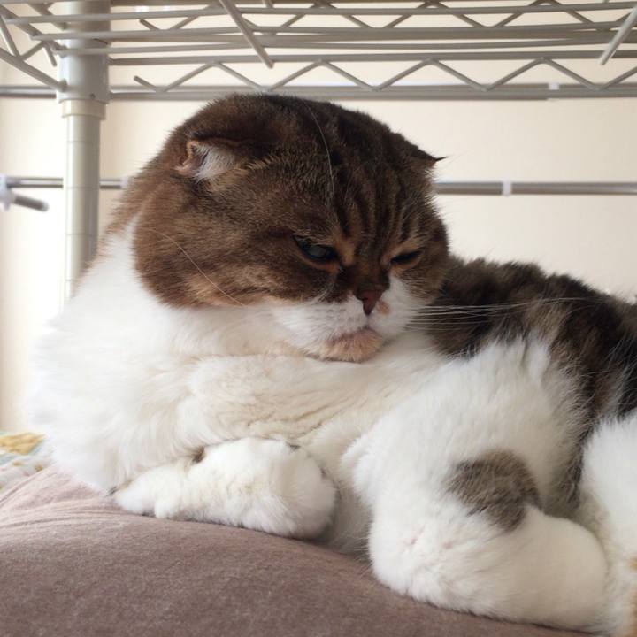 4c75cb28 4422 48b2 8370 005a7c41c46d