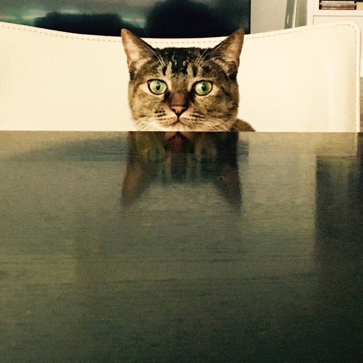 4c763dc7 eeb0 4e44 afde c76a37565a8b