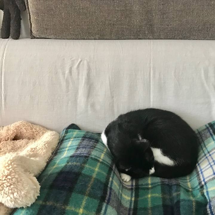 4c769b58 3838 43ab bb36 72a4799ea292