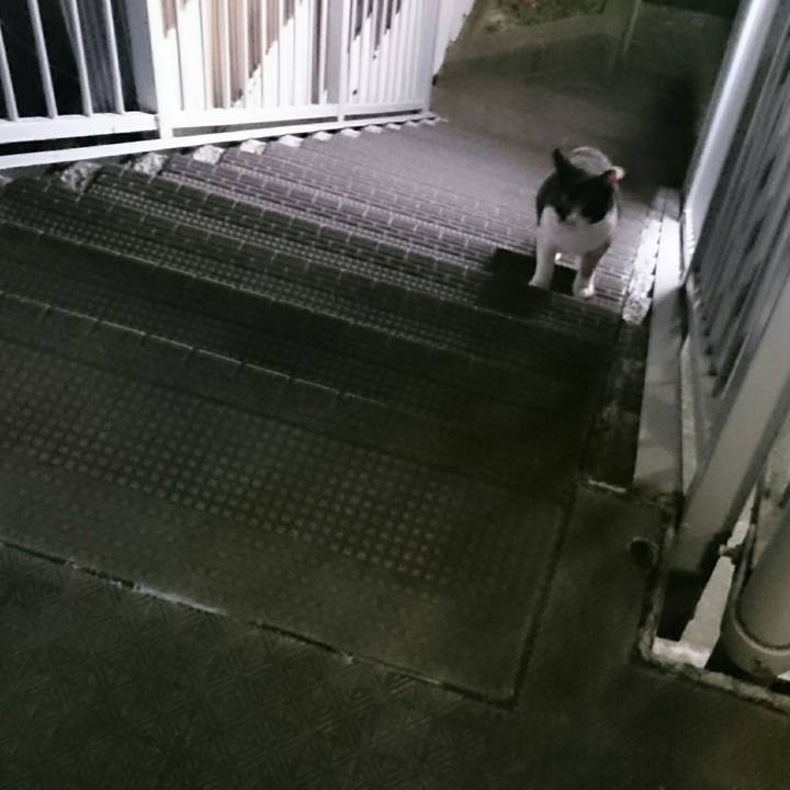 4c7701ed 10ed 48c3 9850 31c9a0665b08