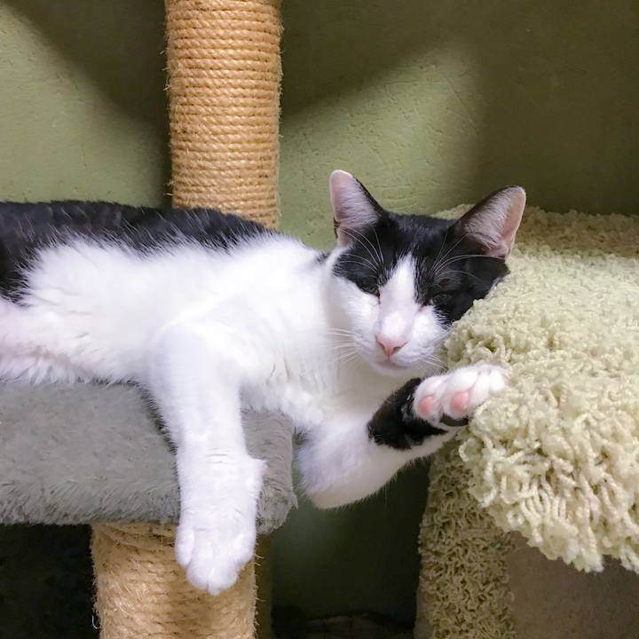 4c777745 a889 4995 b399 dd4807d009ff