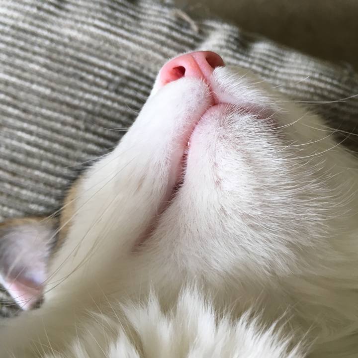 4c777868 eec1 4e9d aa5b cc2923dcf132