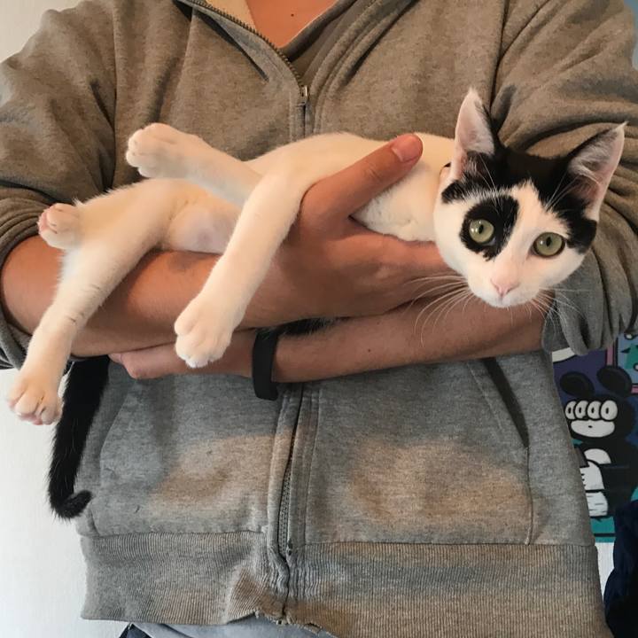 4c7861d1 af3d 44d8 bd06 6b8f4f473151