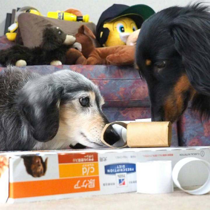 4c7871e3 b968 4631 b16a ae9613632796