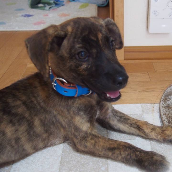 4c7885f5 b3ed 4763 b419 d779abf4f62e