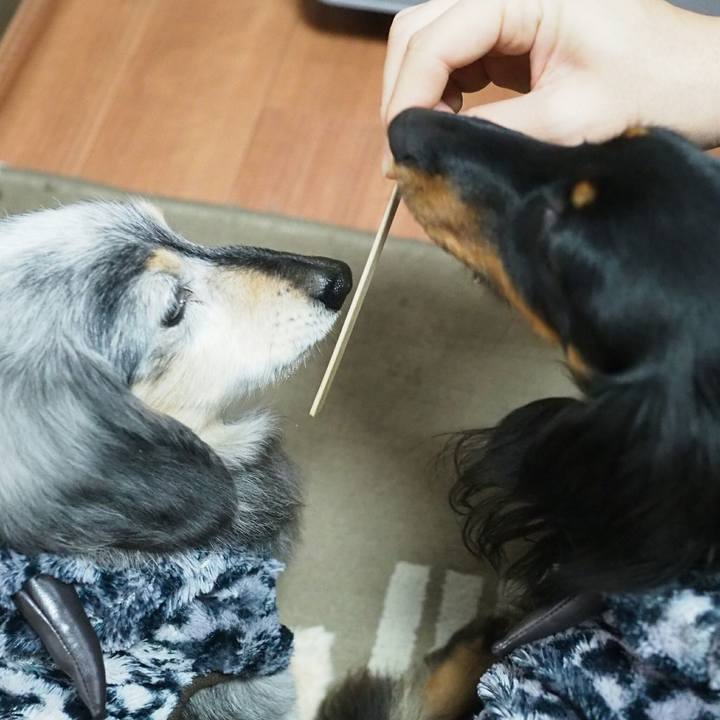 4c78ba57 2633 48ef 9df0 b3bc1dd4869b