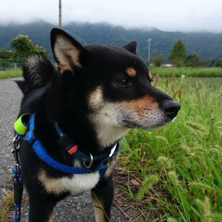 4c78fcab f8cd 4000 837e 34d8361d5add