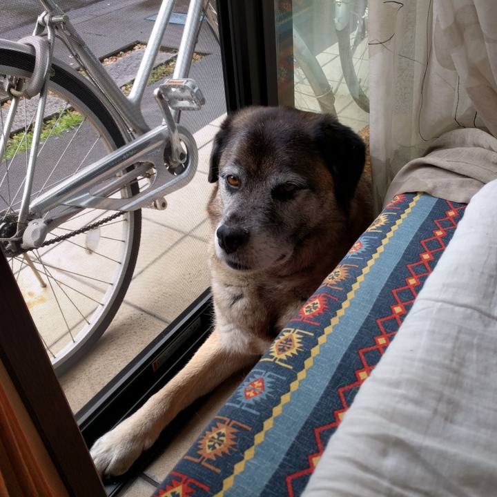 4c799d08 961b 487b 85a7 5545077ecf53