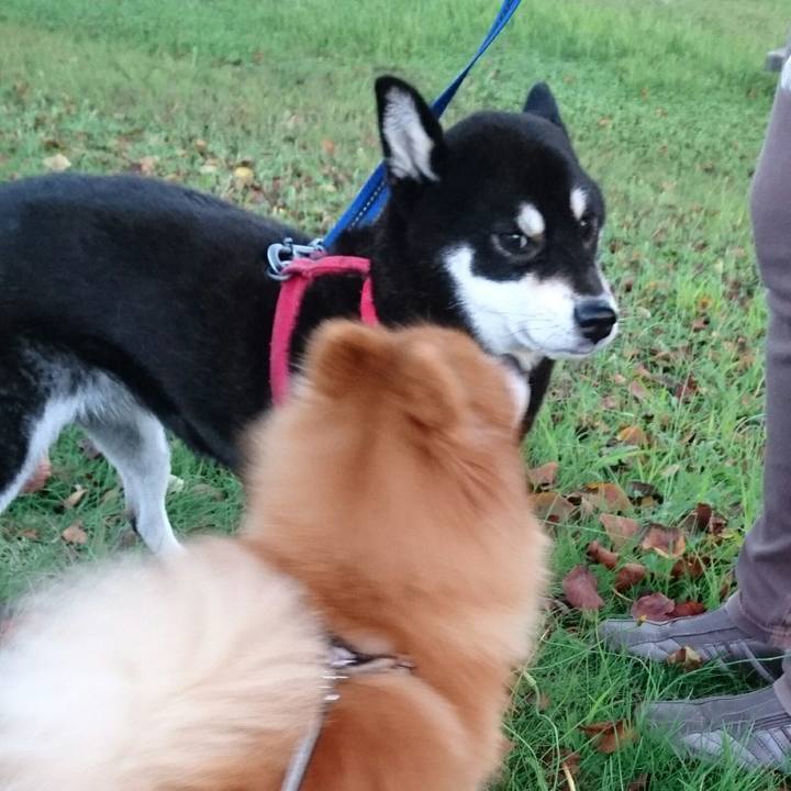 4c79f07b b8b5 4e1e a154 789afa7723af