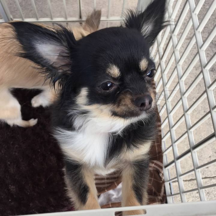 4c7aca6a 061b 4164 9b72 97a24f46da72