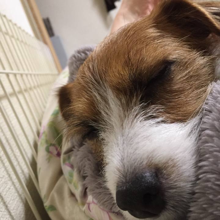 4c7ae147 9742 402a a96f 502182b8f268