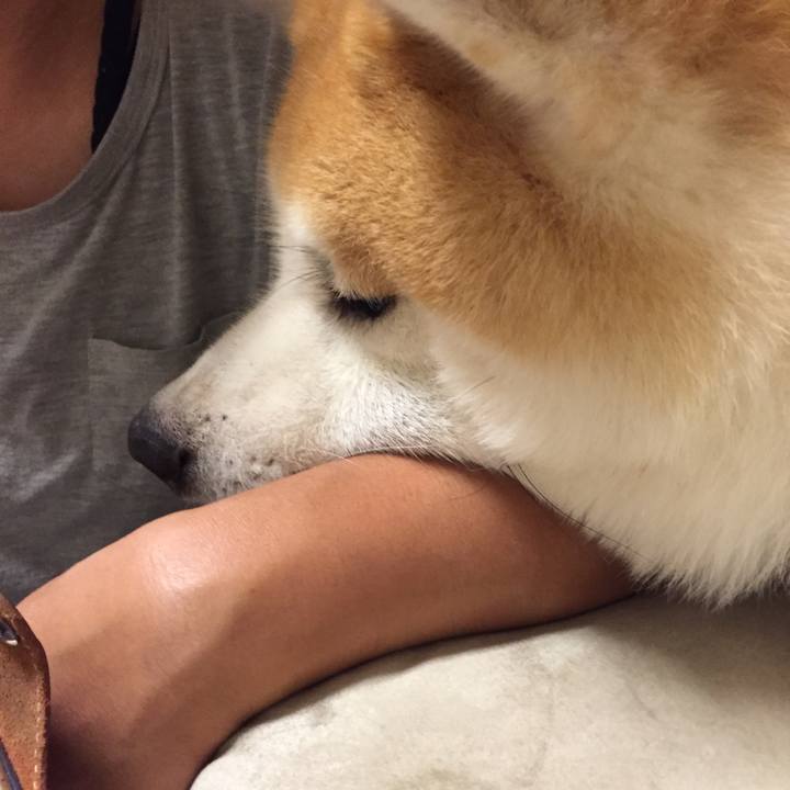 4c7afaa2 09f0 4292 9c15 d45cb63e432f