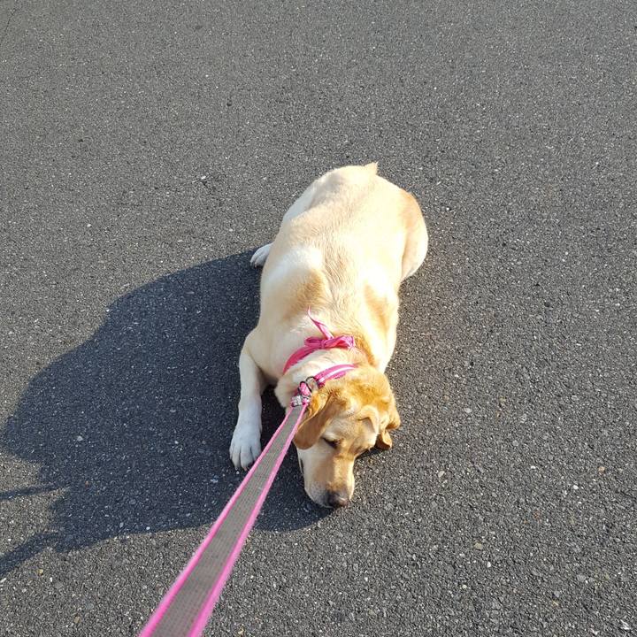 4c7befe8 fe35 4a3f bf95 3931b86e7a27