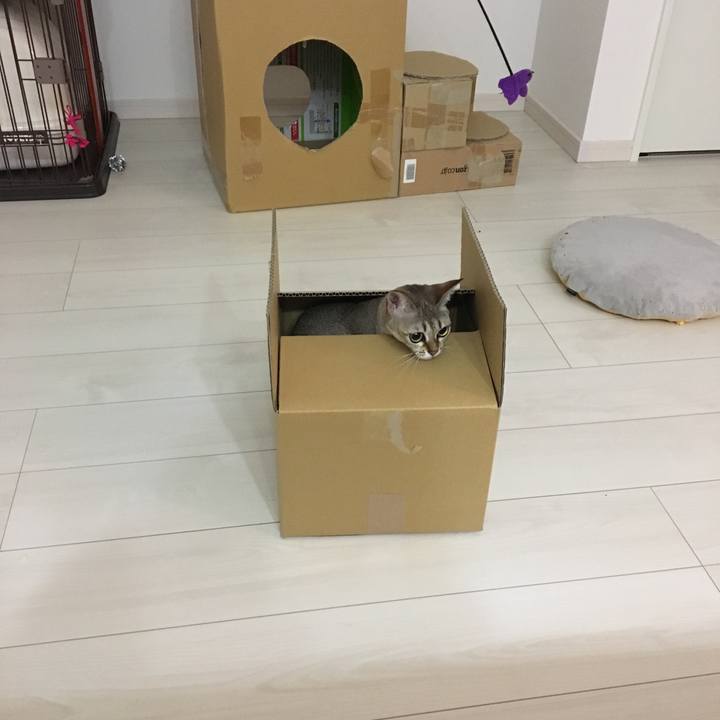 4c7c5e47 34a0 40e5 88df 2031d9f40057