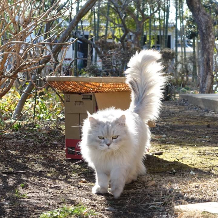 4c7c9e8c 4370 47d4 87b0 88d75765f896