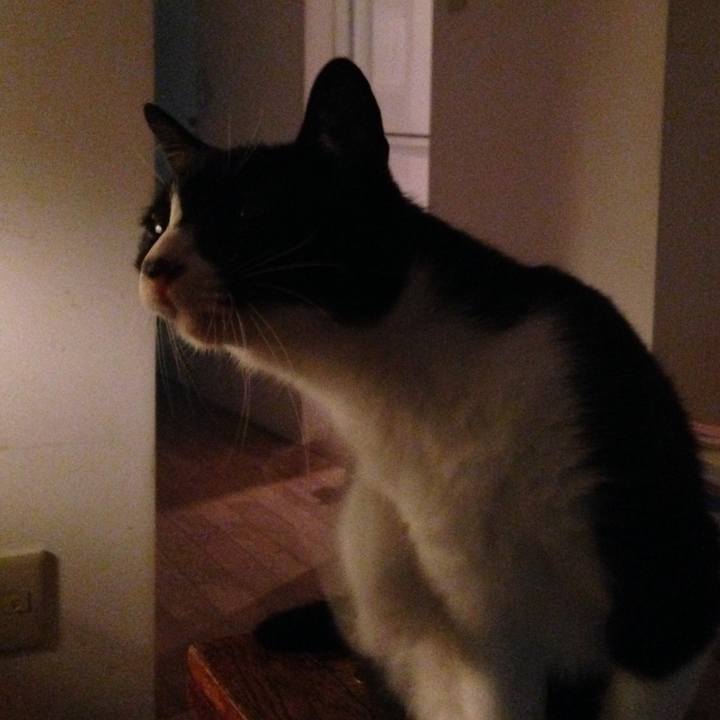 4c7ccf18 6691 4f5a b7bc 752962775414