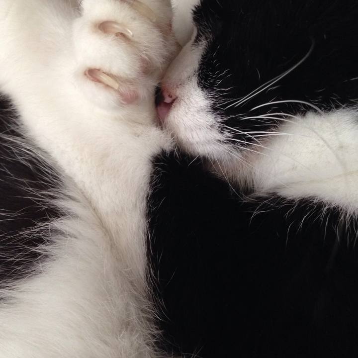 4c7cd27a 51f9 438b 912b 491378fc7281