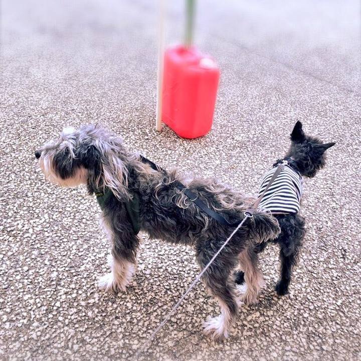 4c7d32cf e37d 41bd 92dd 93f4e9370c59