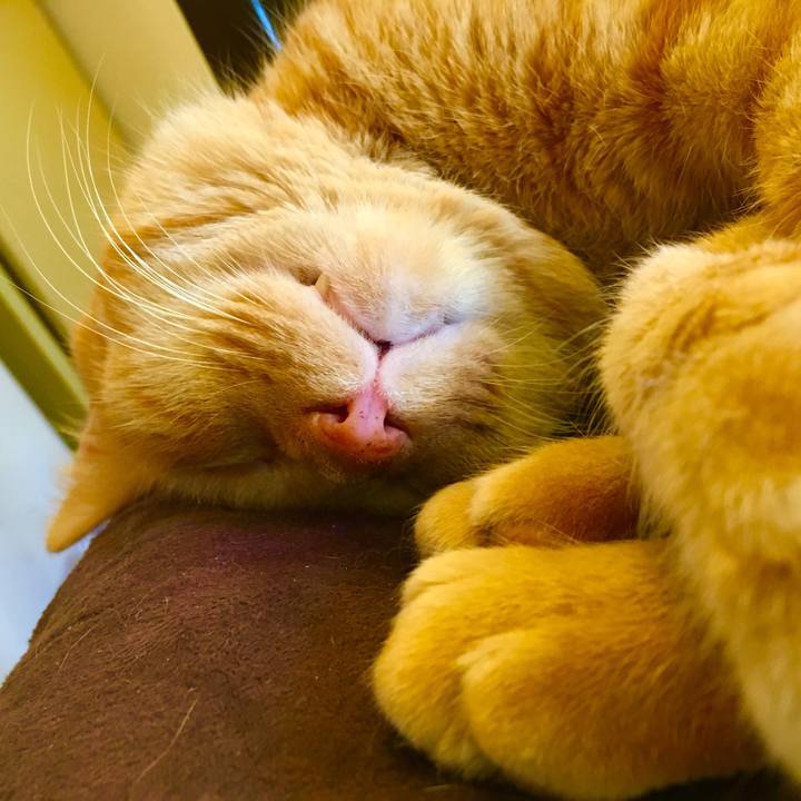 4c7d35ec 77e5 4baa b76c cc90f979c37f