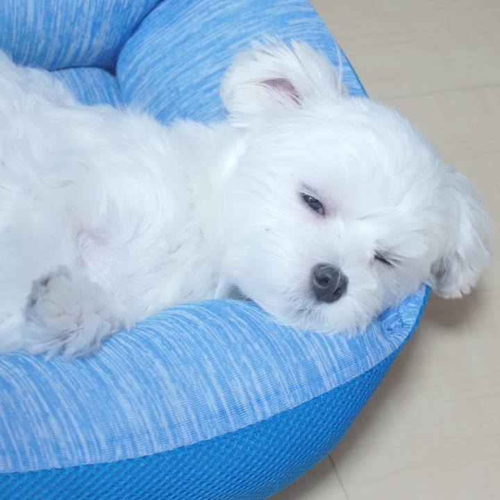 4c7db814 f0da 4067 8cf0 37e7da993e90