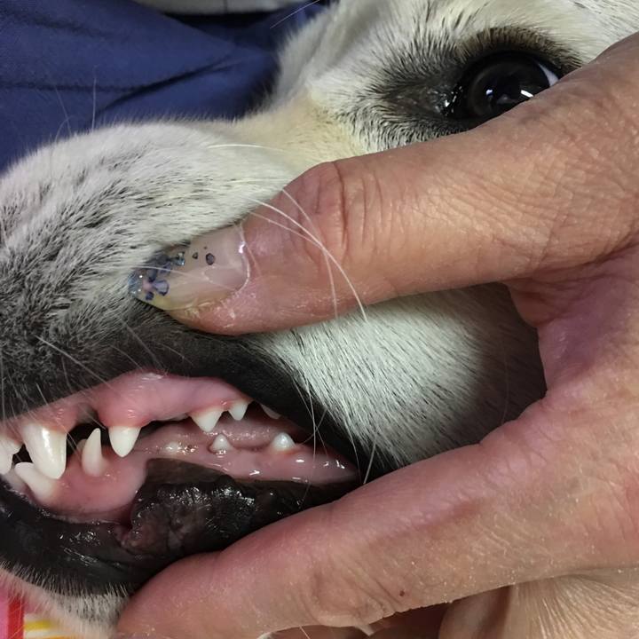 4c7dc1c1 f214 4165 b4eb 9cf976b964d2