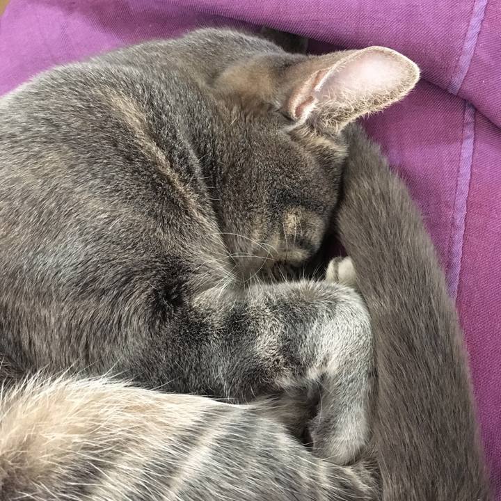 4c7e7c60 a304 474f bdff e47a54ea434e