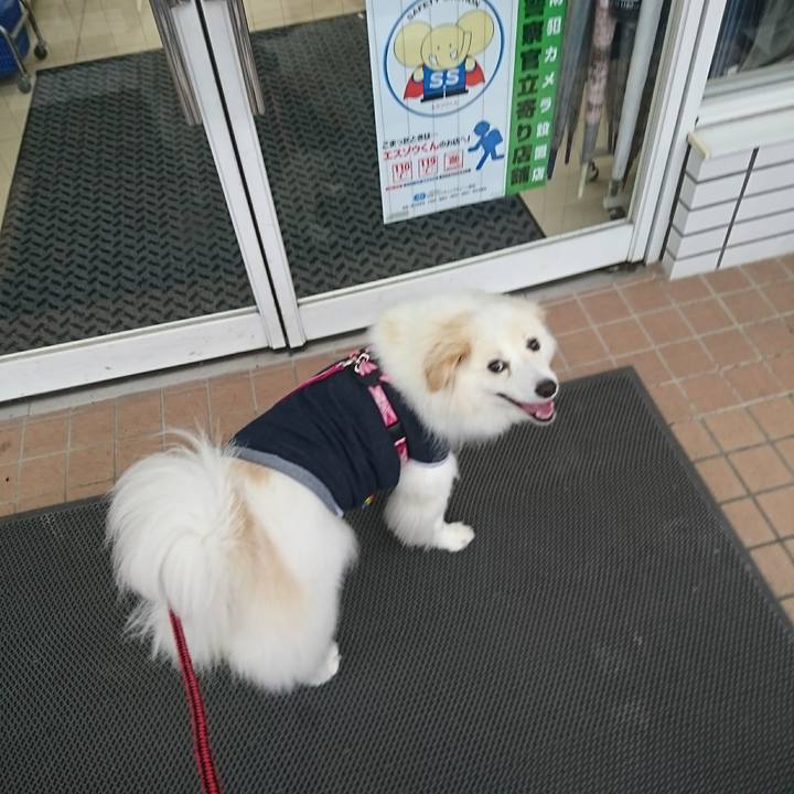 4c7e8d24 875b 4764 991f 71ec8196ea14