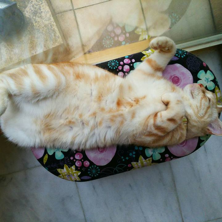 4c7eaab5 7be9 40c6 89db ff6c00298fd2