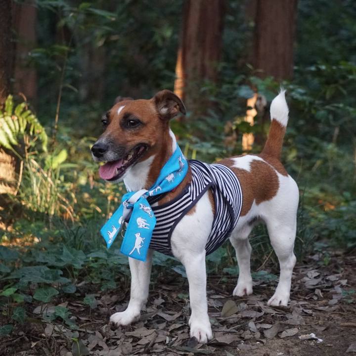 4c7faf59 21d8 4996 9811 1f7ce3405d6b