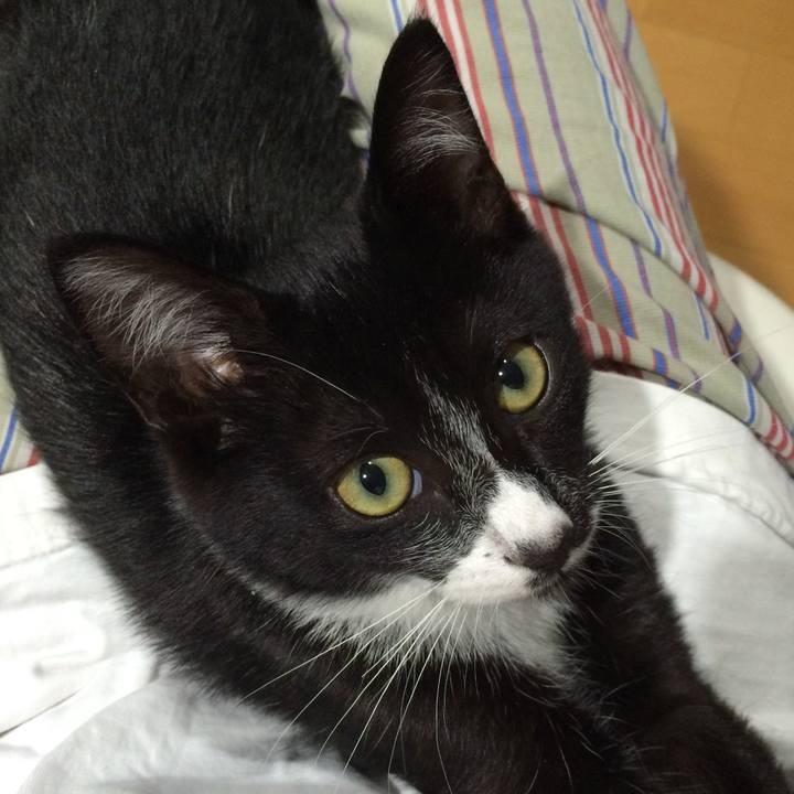 4c7fb9db c11c 48d4 bbc5 98ecf3d90aaa