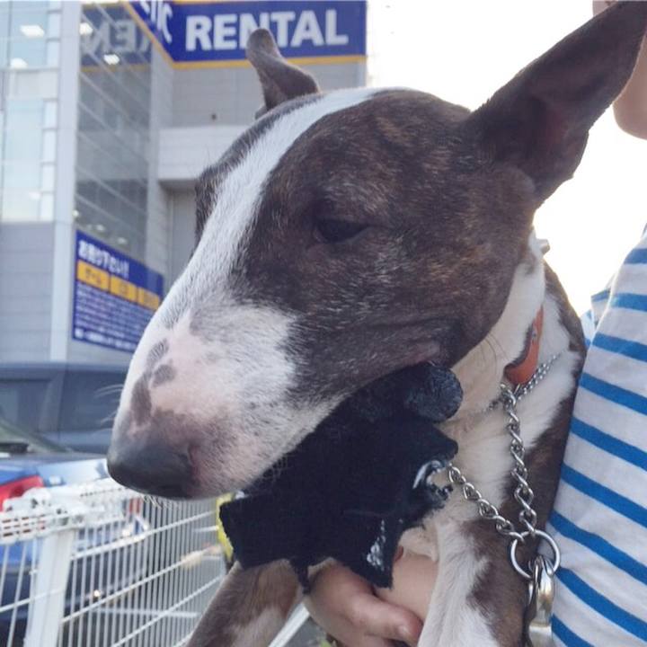 4c801424 6127 4f5b a8fd e983acb5a937