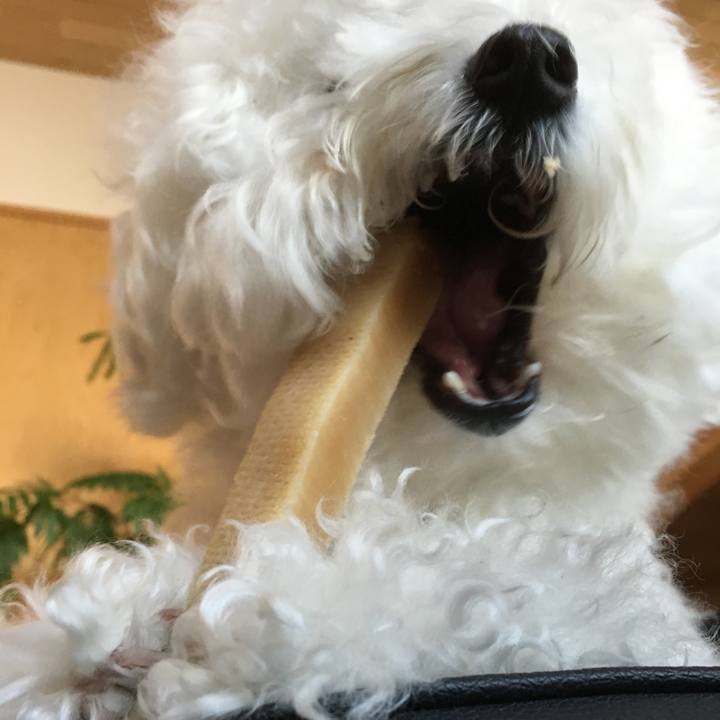 4c81e09c bbf3 4a63 8d88 09f58396b8e5