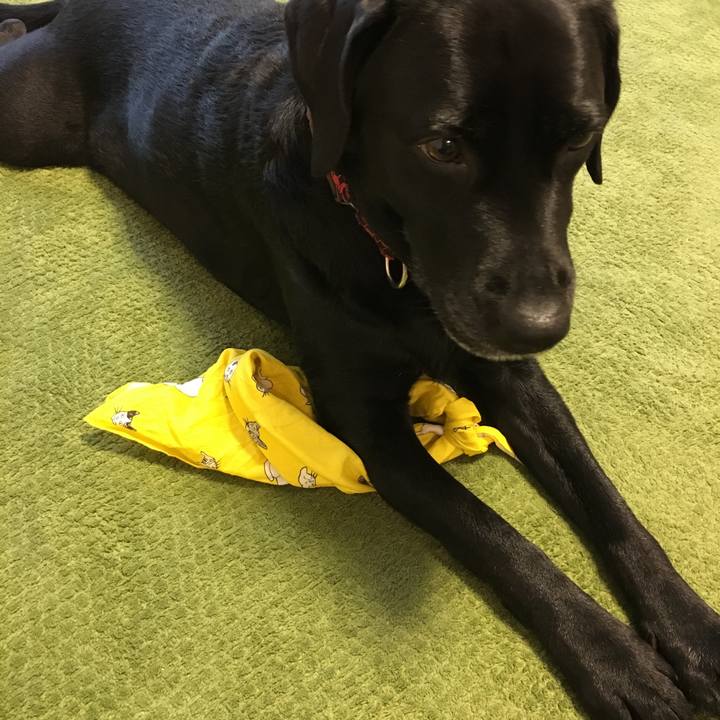 4c823204 85ff 492a 9d34 738b72a19f80